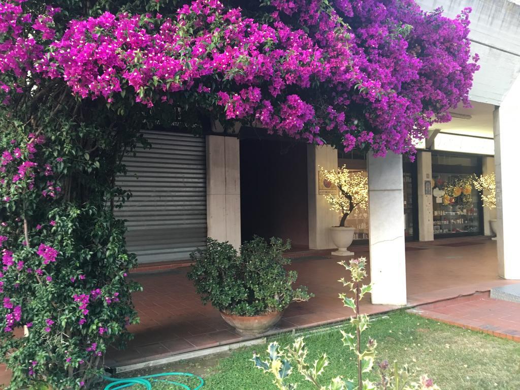 Il Parco Apartments Marina di Massa Extérieur photo